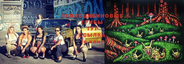бошки Баксан
